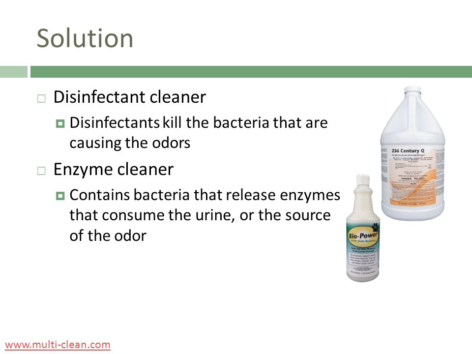 Solution  Disinfectant cleaner  Disinfectants kill the bacteria that are causing the odors  Enzyme cleaner  Contains bacteria that release enzymes that consume the urine, or the source of the odor