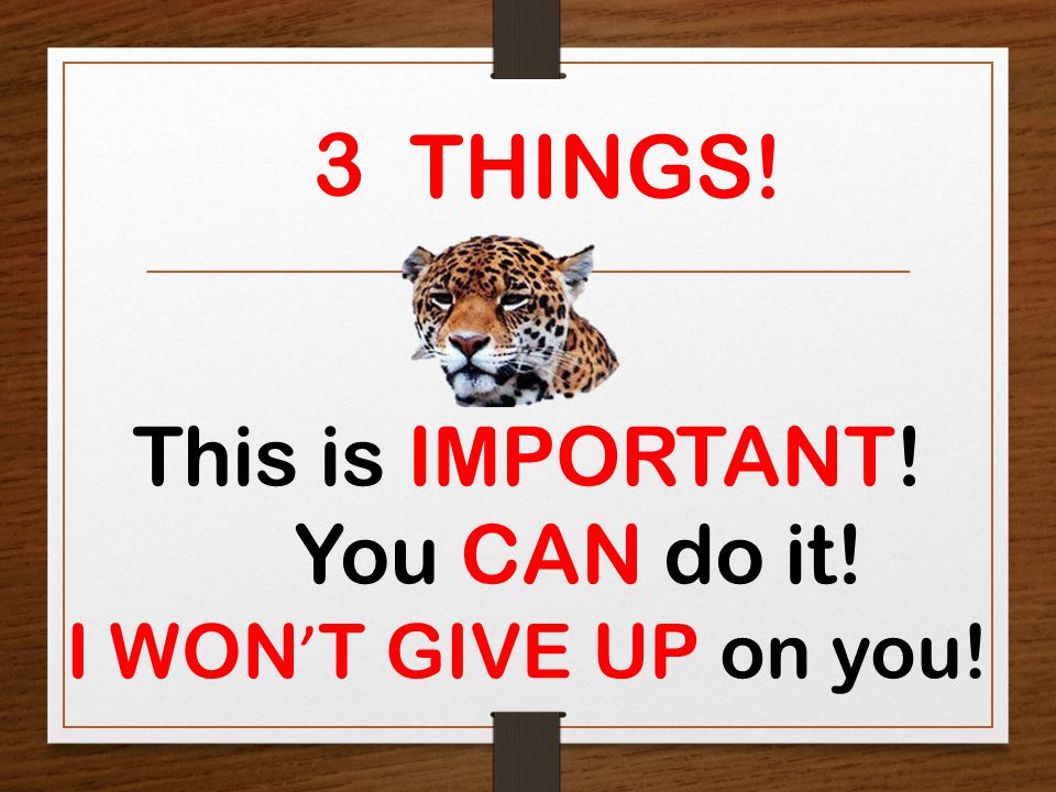 This is IMPORTANT! You CAN do it! I WON ’ T GIVE UP on you! 3 THINGS!