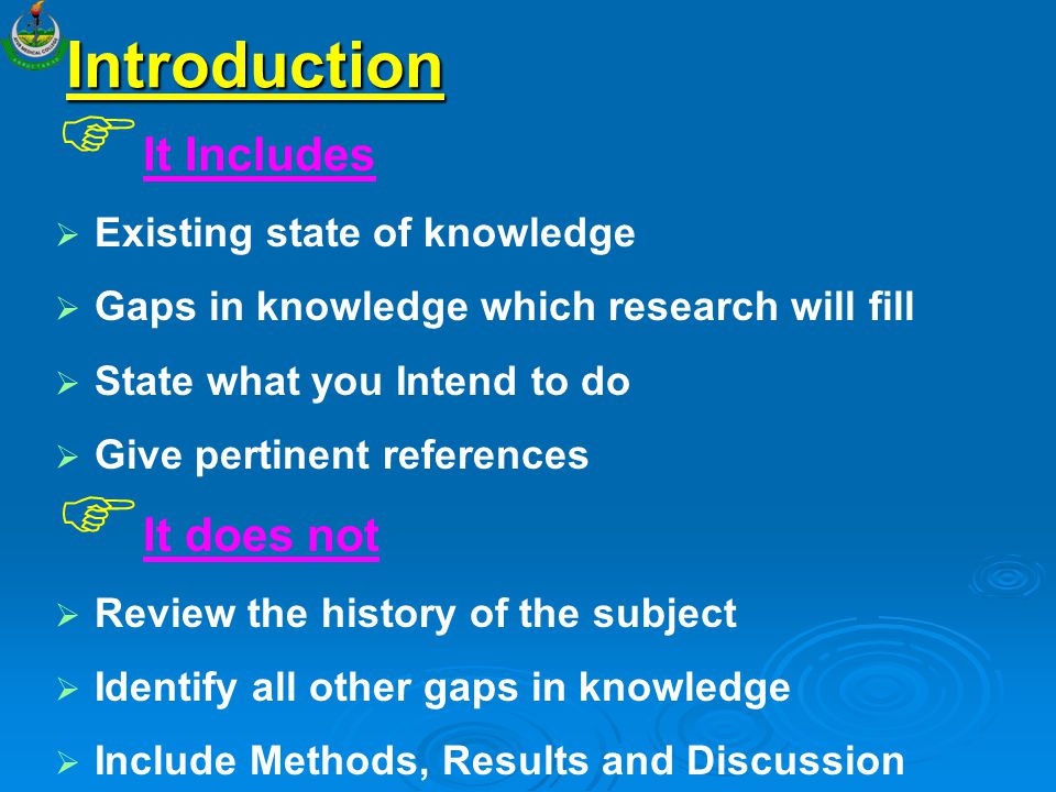 Buy An Essay Online