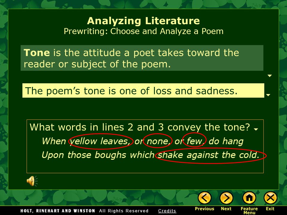 Analyzing Literature Prewriting: Choose and Analyze a Poem Theme is the central idea or insight of a work of literature.