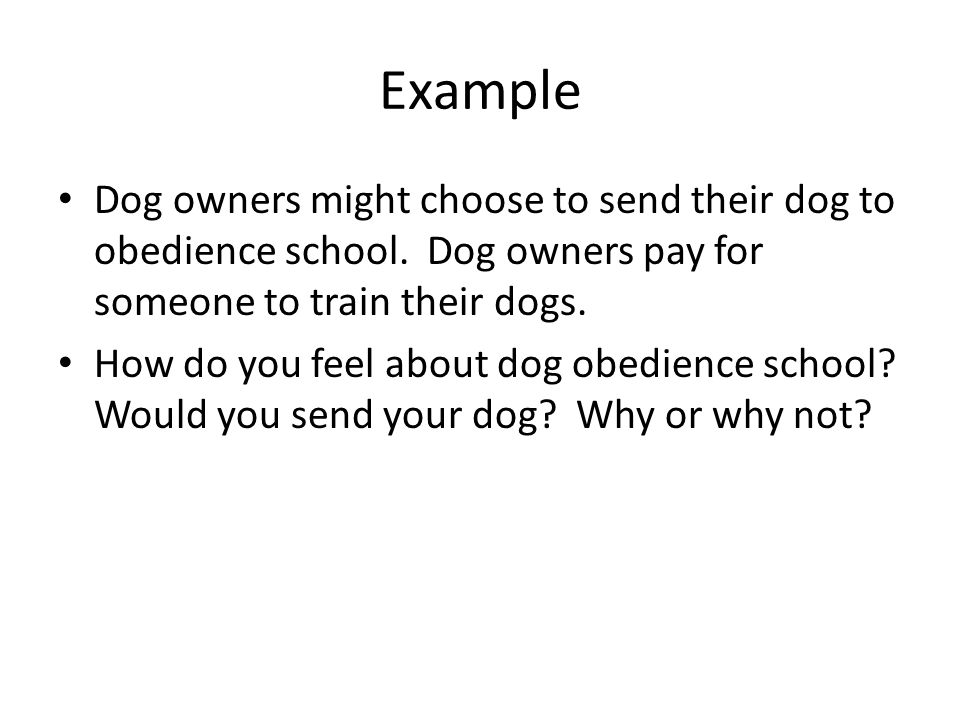essay about my dog essay about my dog