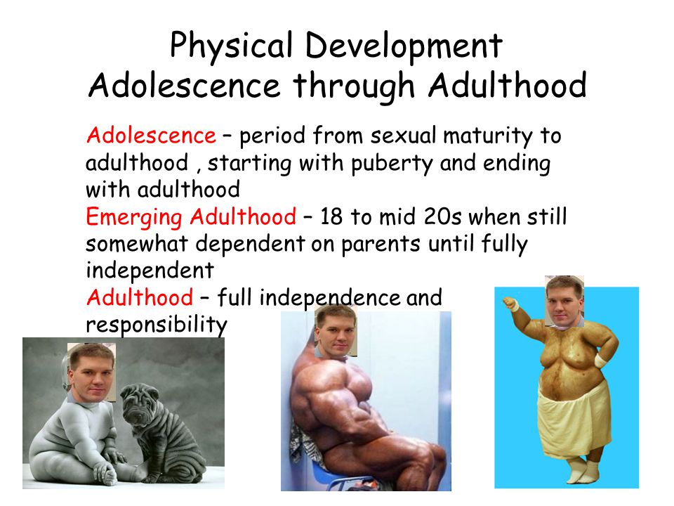 Physical Development Adolescence through Adulthood Adolescence – period from sexual maturity to adulthood, starting with puberty and ending with adulthood Emerging Adulthood – 18 to mid 20s when still somewhat dependent on parents until fully independent Adulthood – full independence and responsibility