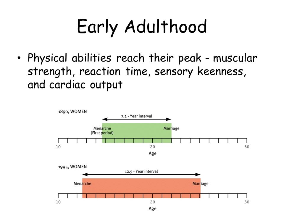 Early Adulthood Physical abilities reach their peak - muscular strength, reaction time, sensory keenness, and cardiac output