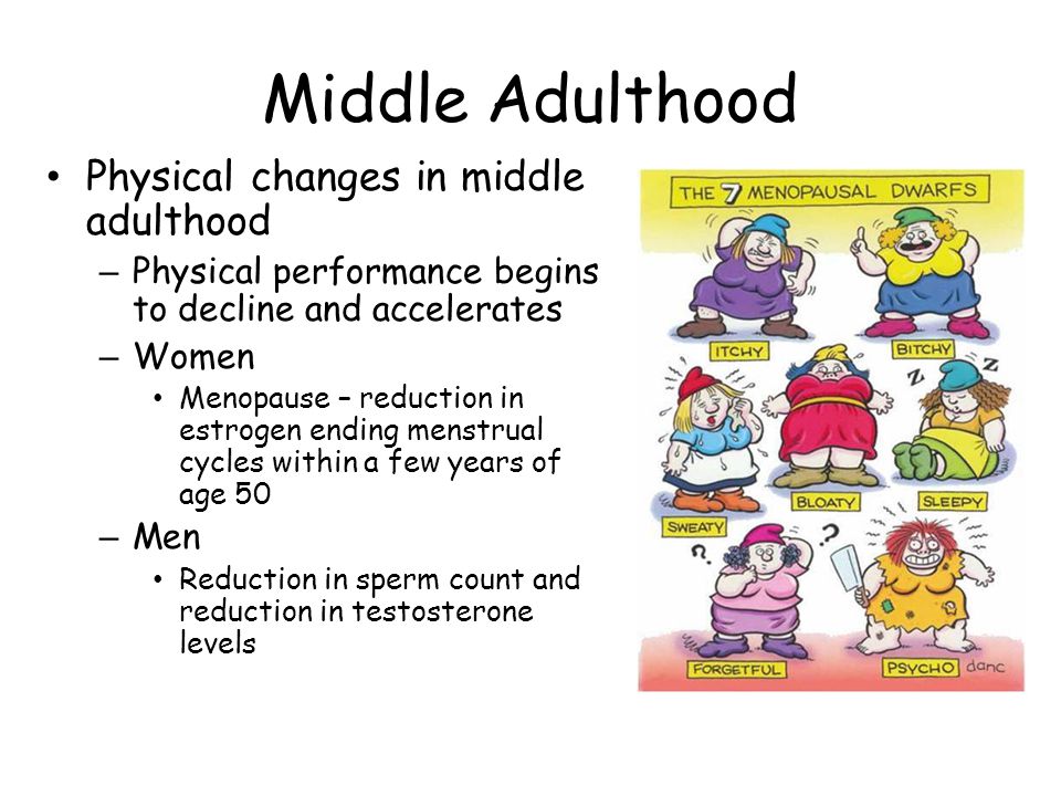 Middle Adulthood Physical changes in middle adulthood – Physical performance begins to decline and accelerates – Women Menopause – reduction in estrogen ending menstrual cycles within a few years of age 50 – Men Reduction in sperm count and reduction in testosterone levels