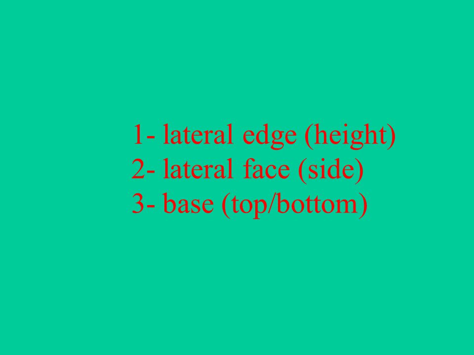 1- lateral edge (height) 2- lateral face (side) 3- base (top/bottom)