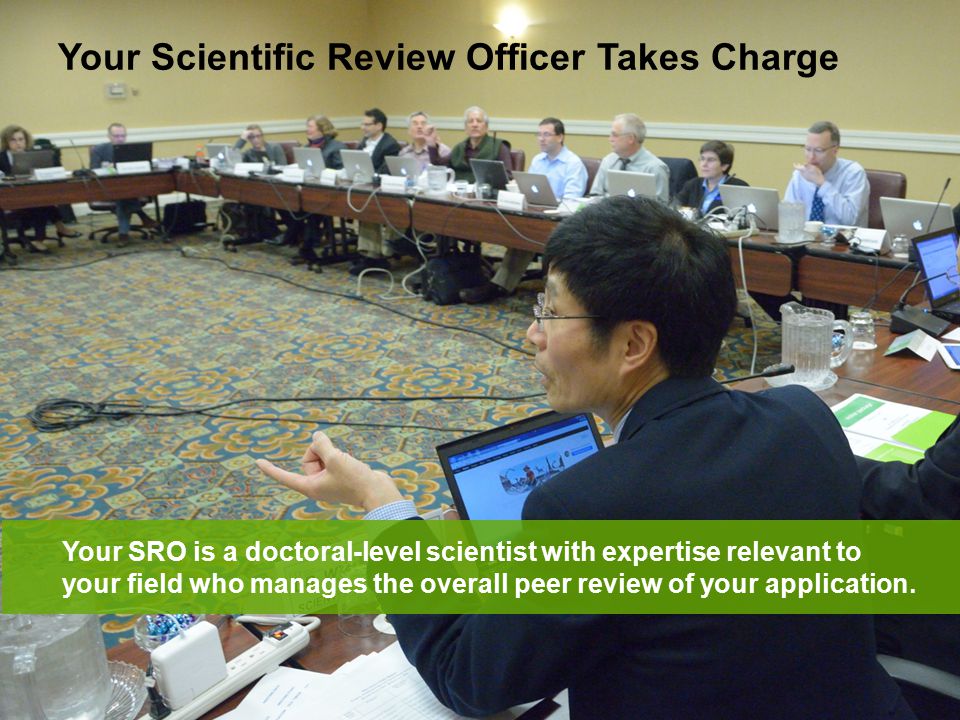 Your SRO is a doctoral-level scientist with expertise relevant to your field who manages the overall peer review of your application.