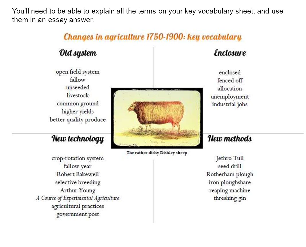 the agricultural revolution essay The agricultural revolution was one of the most important events in modern history because it was the beginning of using technology in farming, it produced extra food, and it helped form a greater division of labor. the agricultural revolution essay The agricultural revolution was one of the most important events in modern history because it was the beginning of using technology in farming, it produced extra food, and it helped form a greater division of labor.
