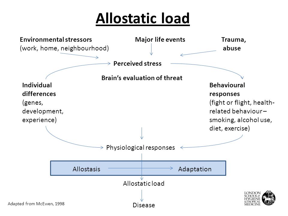 allostasis