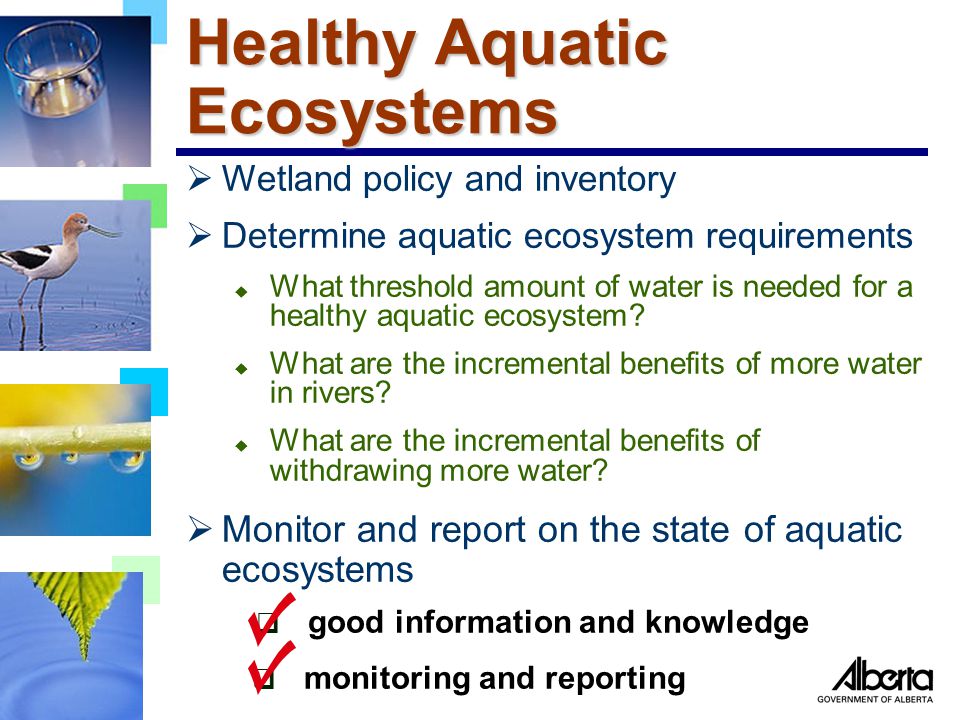 Healthy Aquatic Ecosystems  Wetland policy and inventory  Determine aquatic ecosystem requirements u What threshold amount of water is needed for a healthy aquatic ecosystem.
