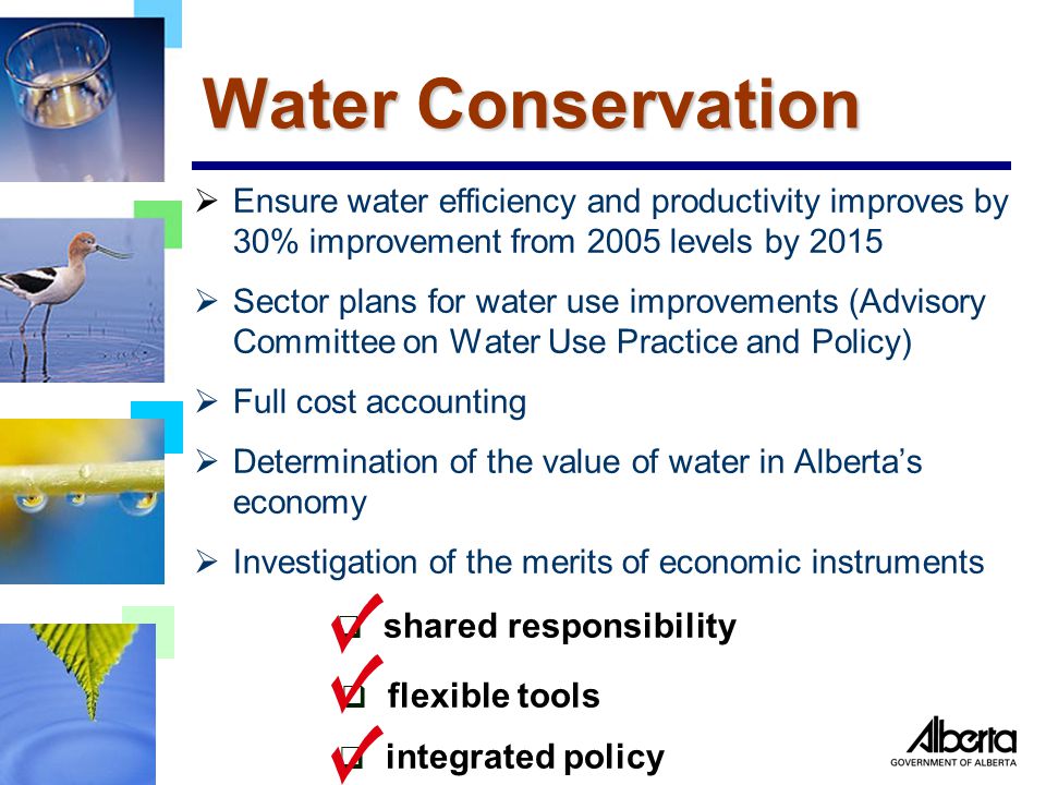 Water Conservation  Ensure water efficiency and productivity improves by 30% improvement from 2005 levels by 2015  Sector plans for water use improvements (Advisory Committee on Water Use Practice and Policy)  Full cost accounting  Determination of the value of water in Alberta’s economy  Investigation of the merits of economic instruments  shared responsibility  flexible tools  integrated policy