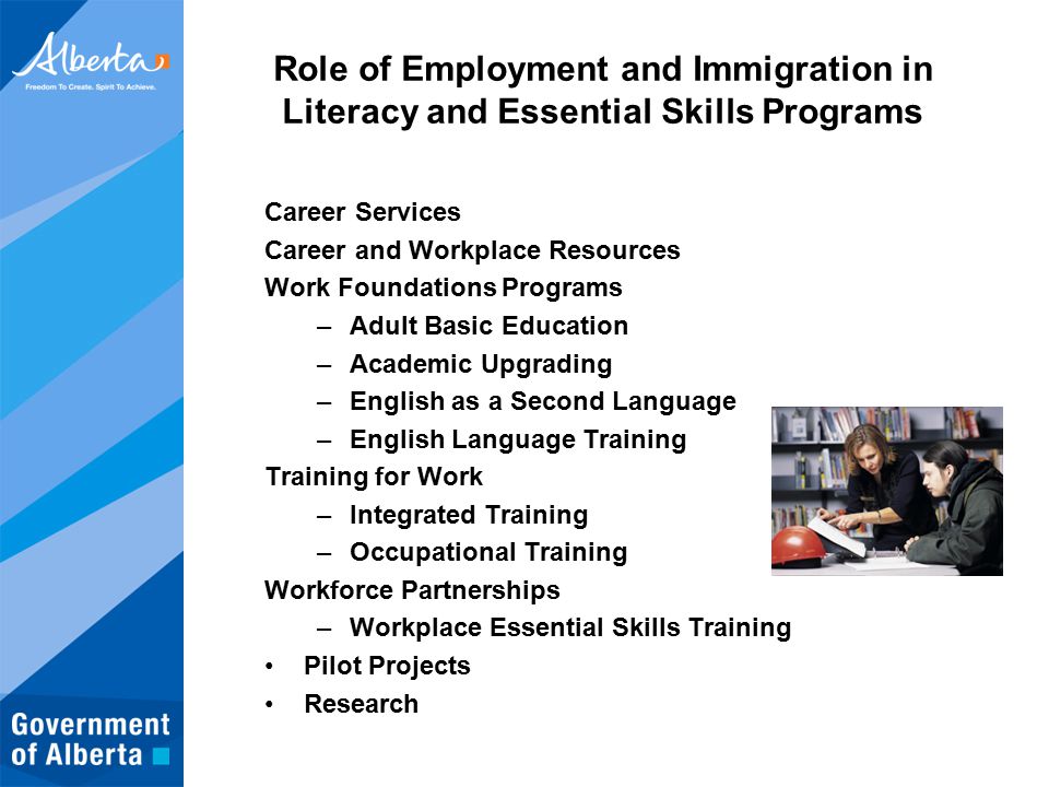 Role of Employment and Immigration in Literacy and Essential Skills Programs Career Services Career and Workplace Resources Work Foundations Programs –Adult Basic Education –Academic Upgrading –English as a Second Language –English Language Training Training for Work –Integrated Training –Occupational Training Workforce Partnerships –Workplace Essential Skills Training Pilot Projects Research