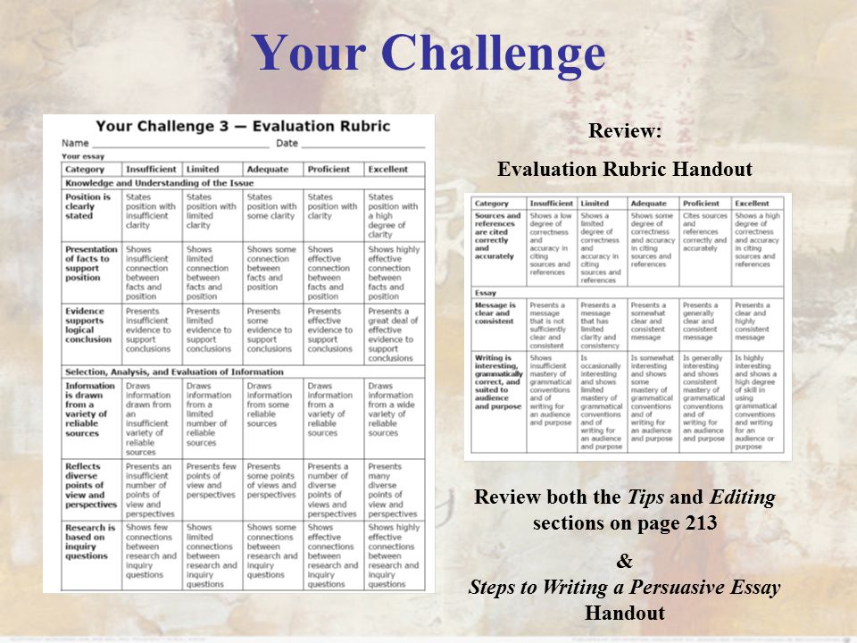 Essay To What Extent
