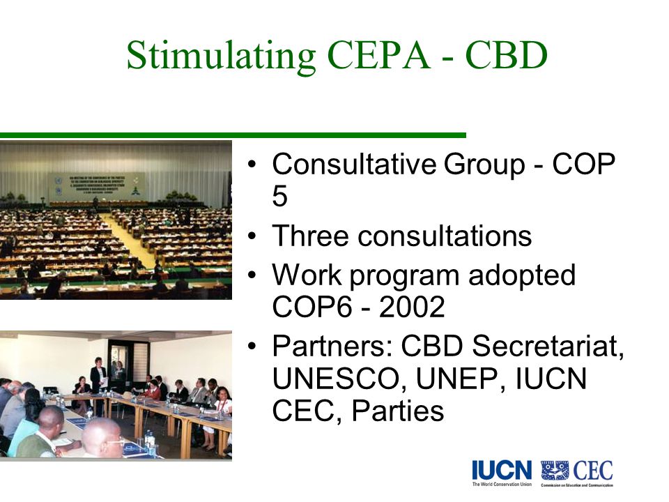 Stimulating CEPA - CBD Consultative Group - COP 5 Three consultations Work program adopted COP Partners: CBD Secretariat, UNESCO, UNEP, IUCN CEC, Parties