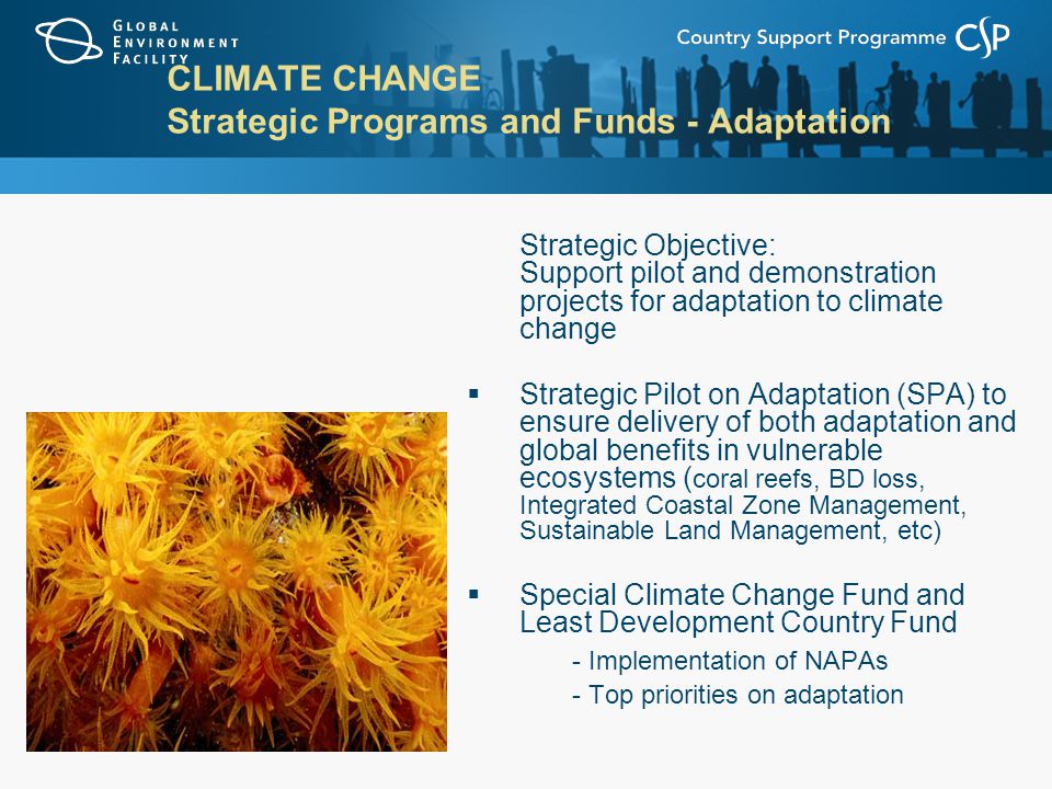 CLIMATE CHANGE Strategic Programs and Funds - Adaptation Strategic Objective: Support pilot and demonstration projects for adaptation to climate change  Strategic Pilot on Adaptation (SPA) to ensure delivery of both adaptation and global benefits in vulnerable ecosystems ( coral reefs, BD loss, Integrated Coastal Zone Management, Sustainable Land Management, etc)  Special Climate Change Fund and Least Development Country Fund - Implementation of NAPAs - Top priorities on adaptation