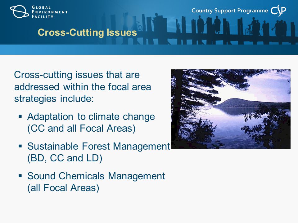 Cross-Cutting Issues Cross-cutting issues that are addressed within the focal area strategies include:  Adaptation to climate change (CC and all Focal Areas)  Sustainable Forest Management (BD, CC and LD)  Sound Chemicals Management (all Focal Areas)