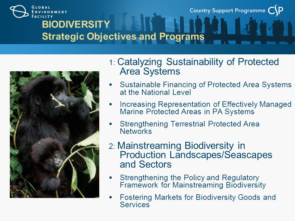 BIODIVERSITY Strategic Objectives and Programs 1: Catalyzing Sustainability of Protected Area Systems  Sustainable Financing of Protected Area Systems at the National Level  Increasing Representation of Effectively Managed Marine Protected Areas in PA Systems  Strengthening Terrestrial Protected Area Networks 2: Mainstreaming Biodiversity in Production Landscapes/Seascapes and Sectors  Strengthening the Policy and Regulatory Framework for Mainstreaming Biodiversity  Fostering Markets for Biodiversity Goods and Services
