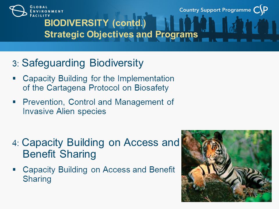 BIODIVERSITY (contd.) Strategic Objectives and Programs 3: Safeguarding Biodiversity  Capacity Building for the Implementation of the Cartagena Protocol on Biosafety  Prevention, Control and Management of Invasive Alien species 4: Capacity Building on Access and Benefit Sharing  Capacity Building on Access and Benefit Sharing