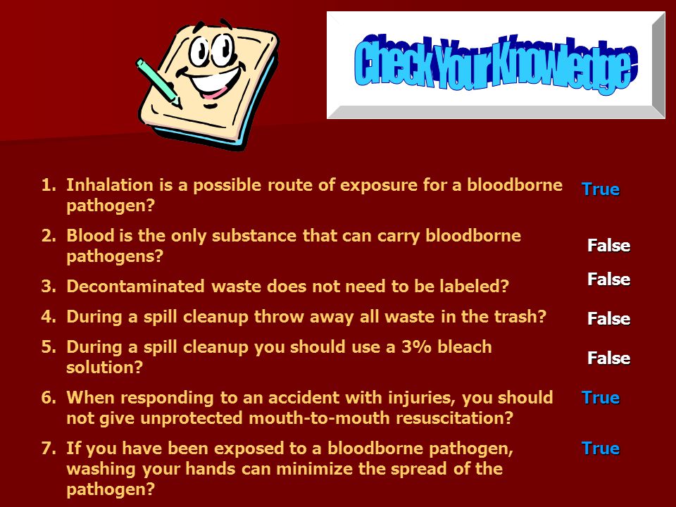 1.Inhalation is a possible route of exposure for a bloodborne pathogen.