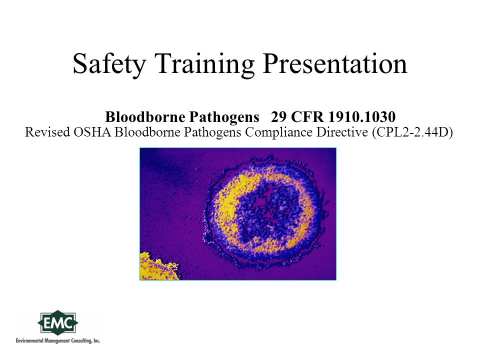 Safety Training Presentation Bloodborne Pathogens 29 CFR Revised OSHA Bloodborne Pathogens Compliance Directive (CPL2-2.44D)