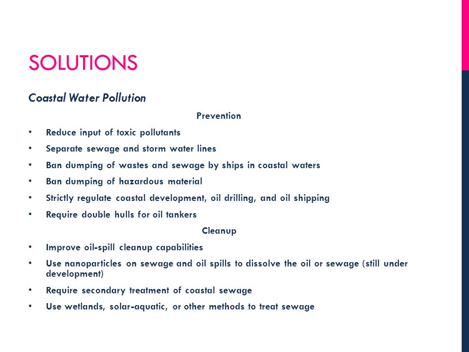 Essay About Water