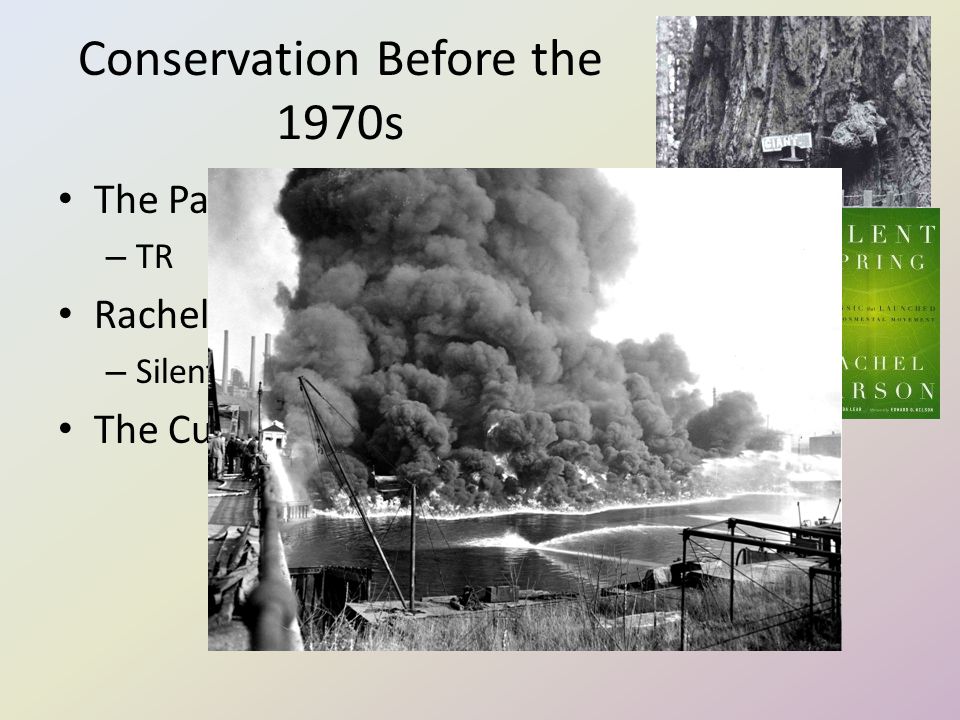 Conservation Before the 1970s The Parks System – TR Rachel Carson – Silent Spring The Cuyahoga River