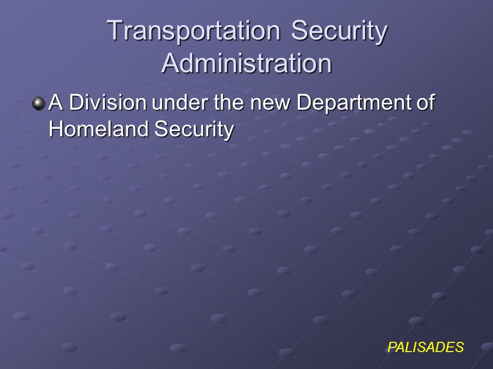PALISADES Transportation Security Administration A Division under the new Department of Homeland Security