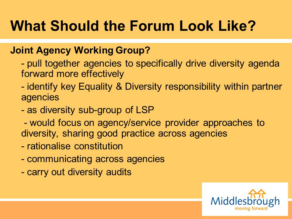 What Should the Forum Look Like. Joint Agency Working Group.