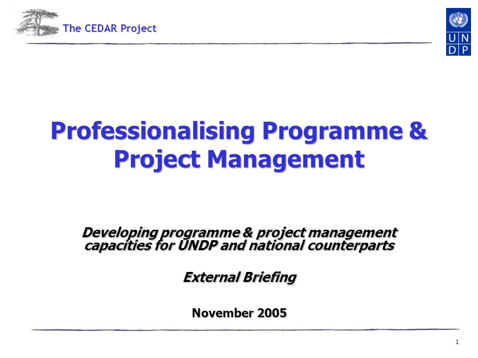 1 Professionalising Programme & Project Management Developing programme & project management capacities for UNDP and national counterparts External Briefing November 2005 The CEDAR Project