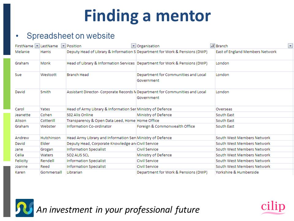 An investment in your professional future Finding a mentor Spreadsheet on website
