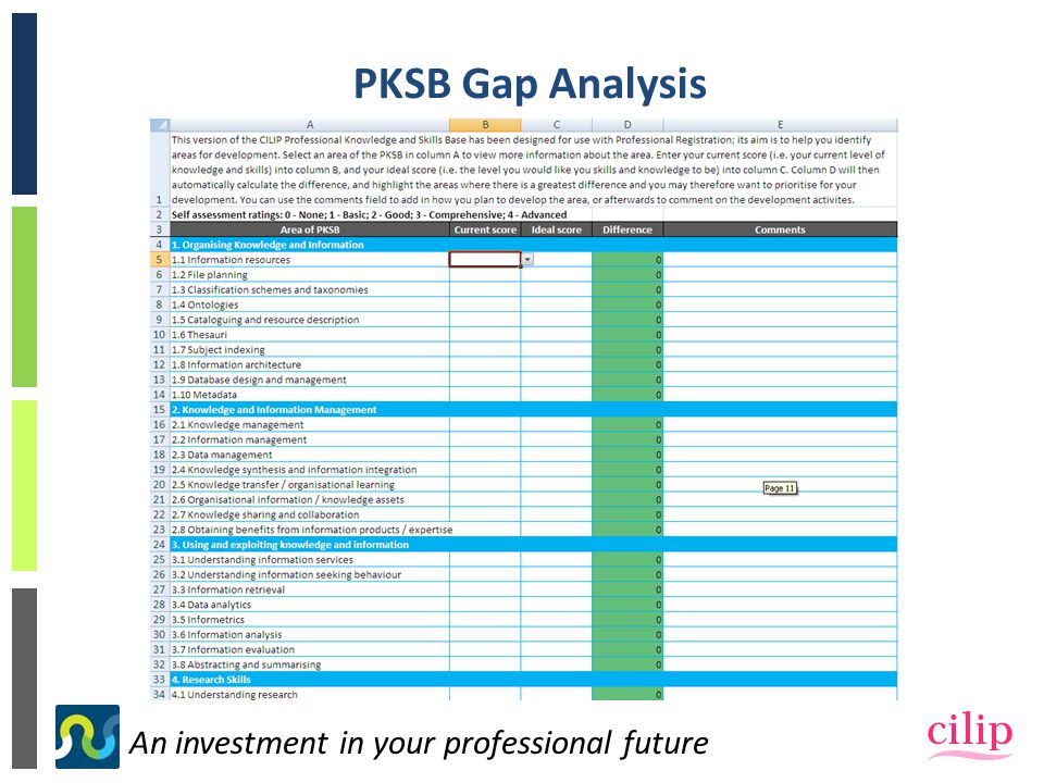 PKSB Gap Analysis