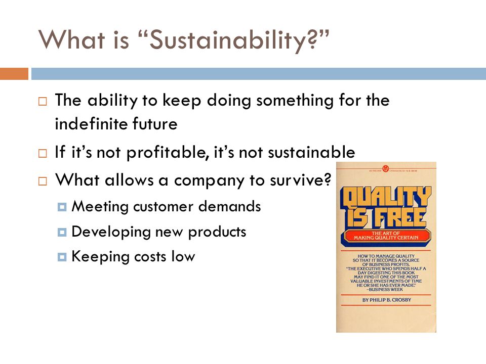 What is Sustainability  The ability to keep doing something for the indefinite future  If it’s not profitable, it’s not sustainable  What allows a company to survive.