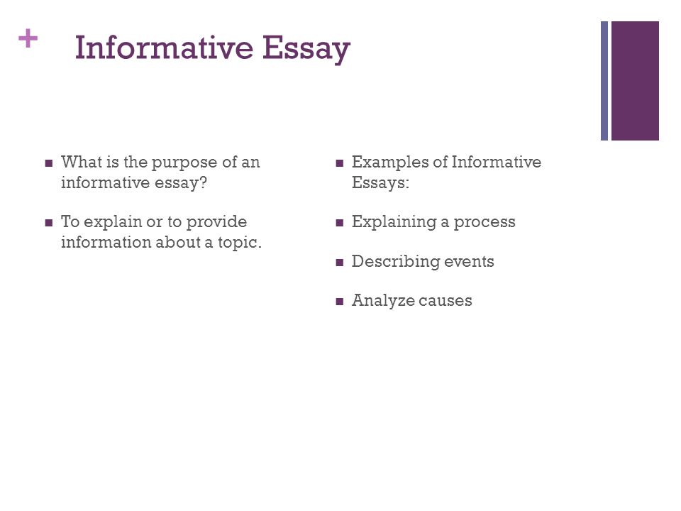 informative essay requirements informative essay requirements