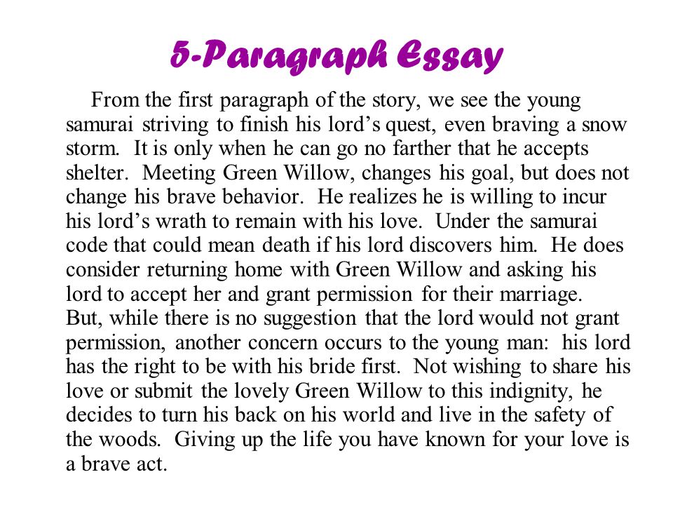 first paragraph of an essay