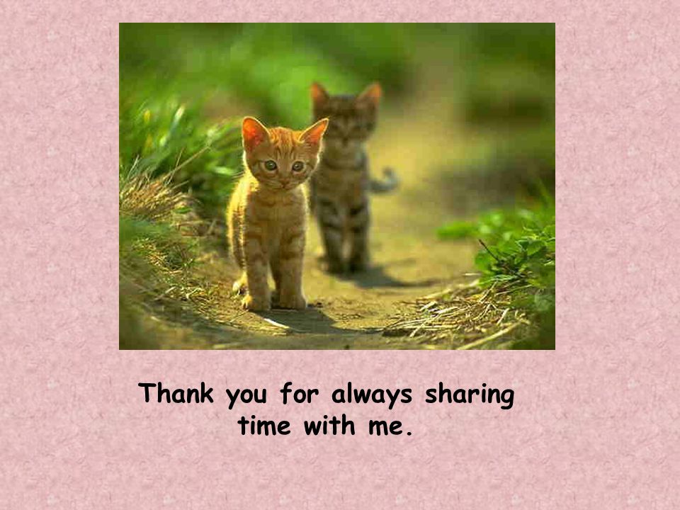 Thank you for always sharing time with me.