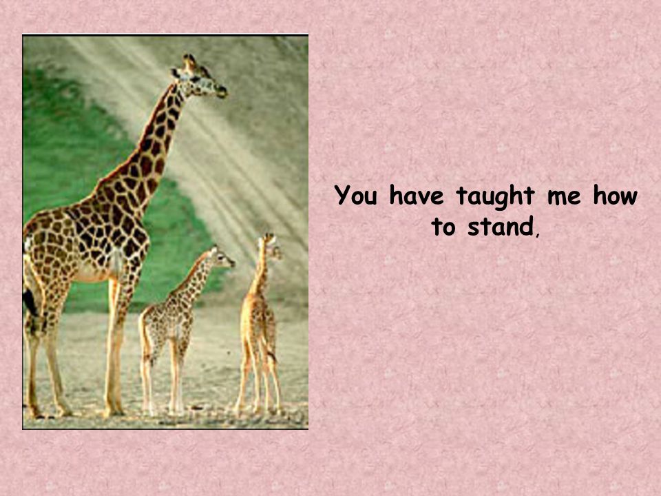 You have taught me how to stand,