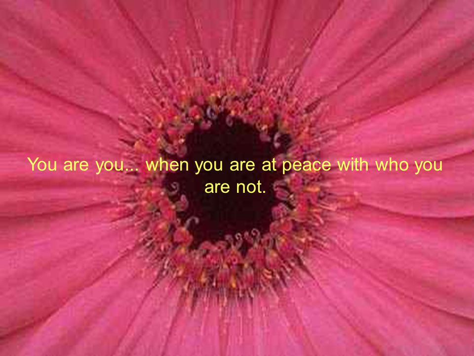 You are you... when you are at peace with who you are not.