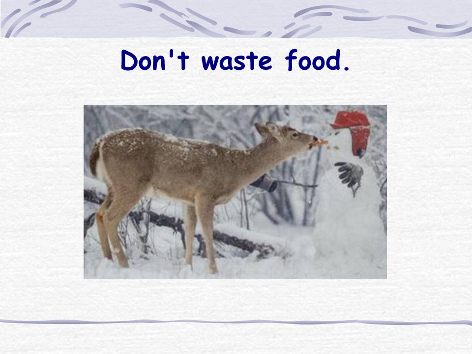 Don t waste food.