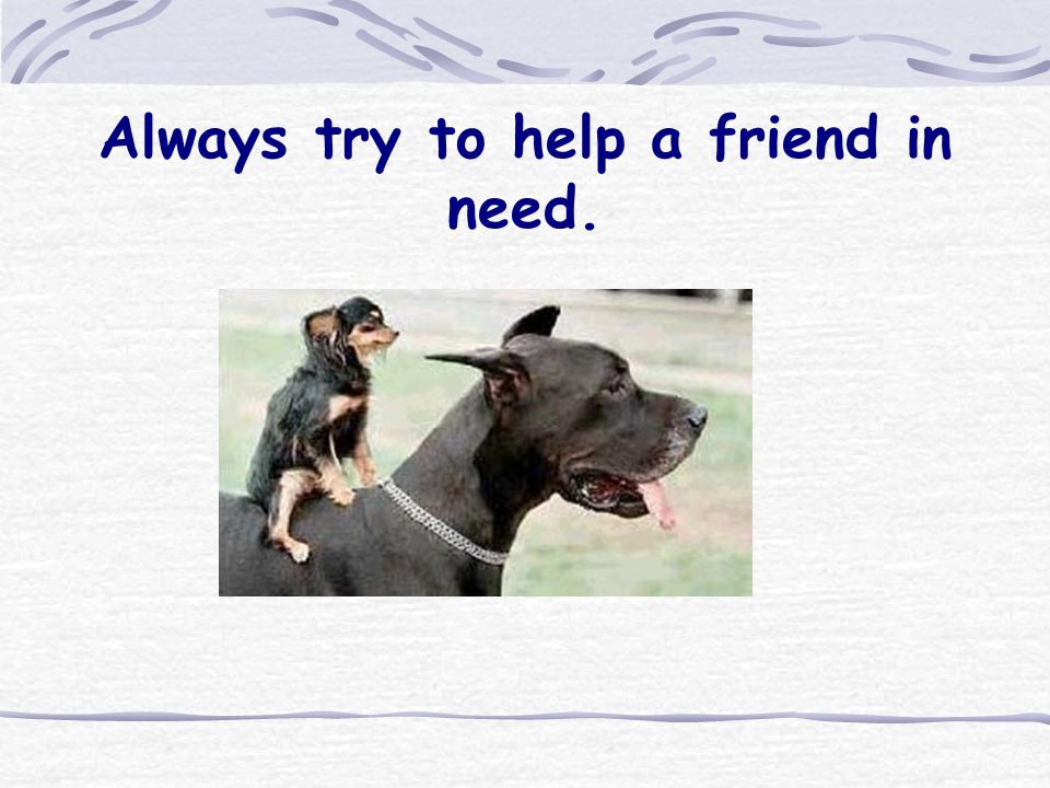 Always try to help a friend in need.
