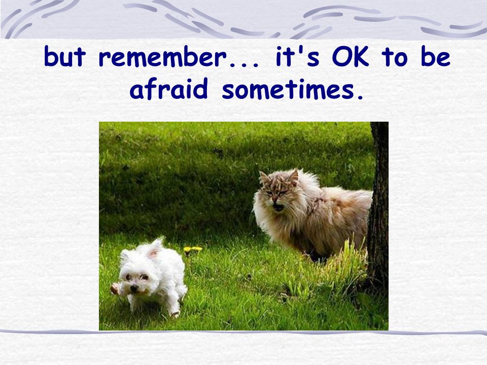 but remember... it s OK to be afraid sometimes.