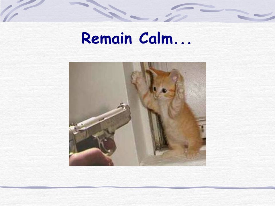 Remain Calm...