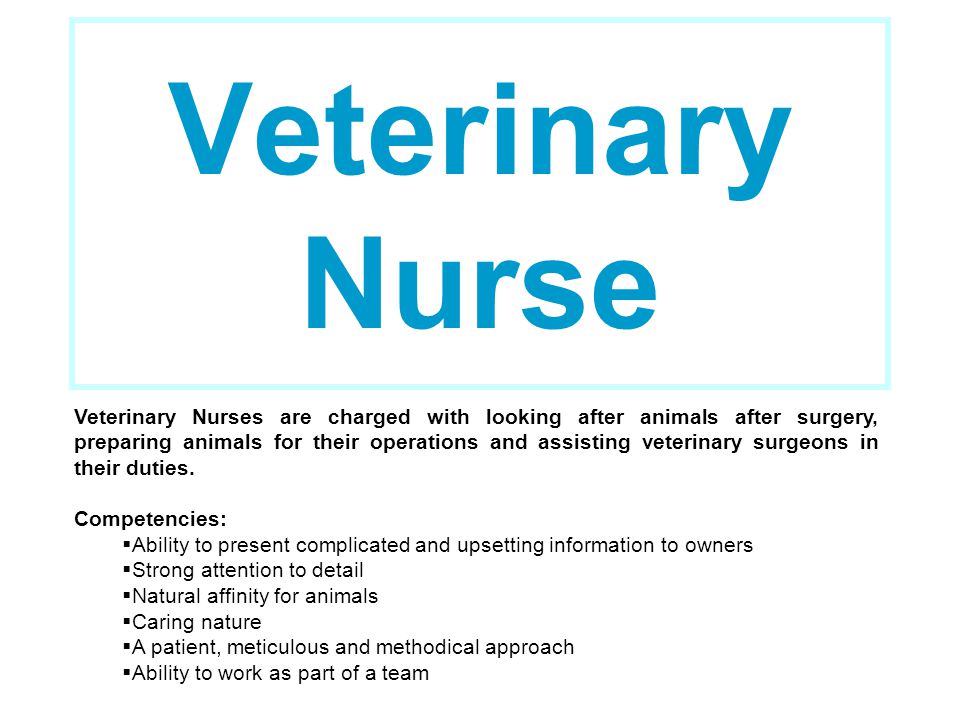 Veterinary Nurse Veterinary Nurses are charged with looking after animals after surgery, preparing animals for their operations and assisting veterinary surgeons in their duties.