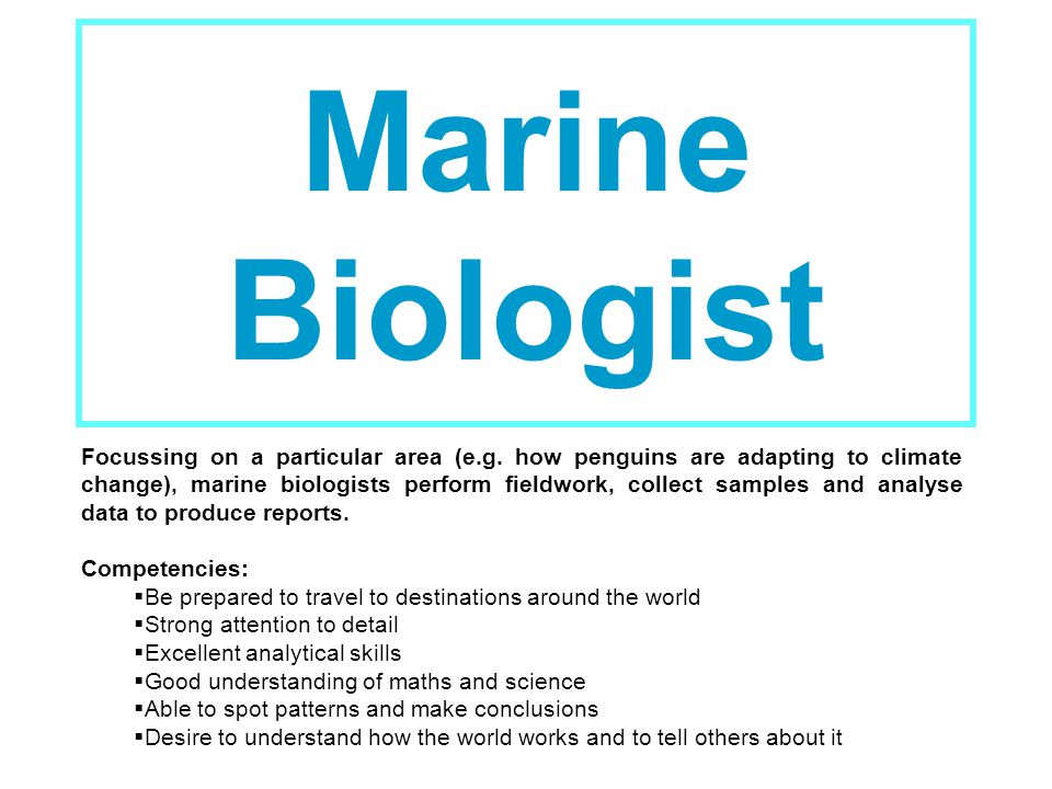Marine Biologist Focussing on a particular area (e.g.