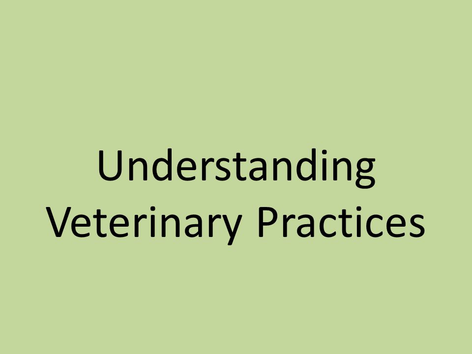 Understanding Veterinary Practices