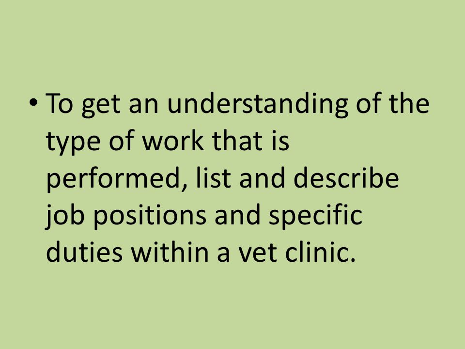 To get an understanding of the type of work that is performed, list and describe job positions and specific duties within a vet clinic.