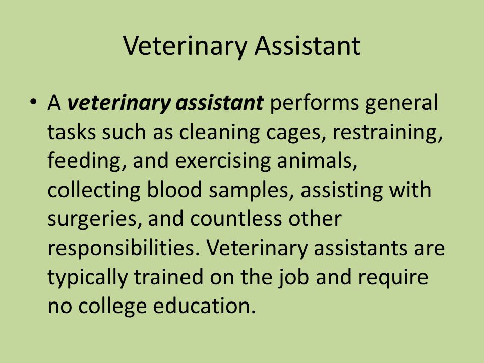 Veterinary Assistant A veterinary assistant performs general tasks such as cleaning cages, restraining, feeding, and exercising animals, collecting blood samples, assisting with surgeries, and countless other responsibilities.