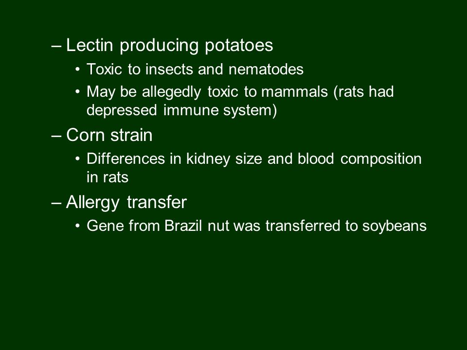 –Lectin producing potatoes Toxic to insects and nematodes May be allegedly toxic to mammals (rats had depressed immune system) –Corn strain Differences in kidney size and blood composition in rats –Allergy transfer Gene from Brazil nut was transferred to soybeans