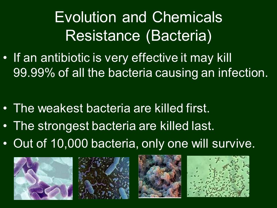 Evolution and Chemicals Resistance (Bacteria) If an antibiotic is very effective it may kill 99.99% of all the bacteria causing an infection.