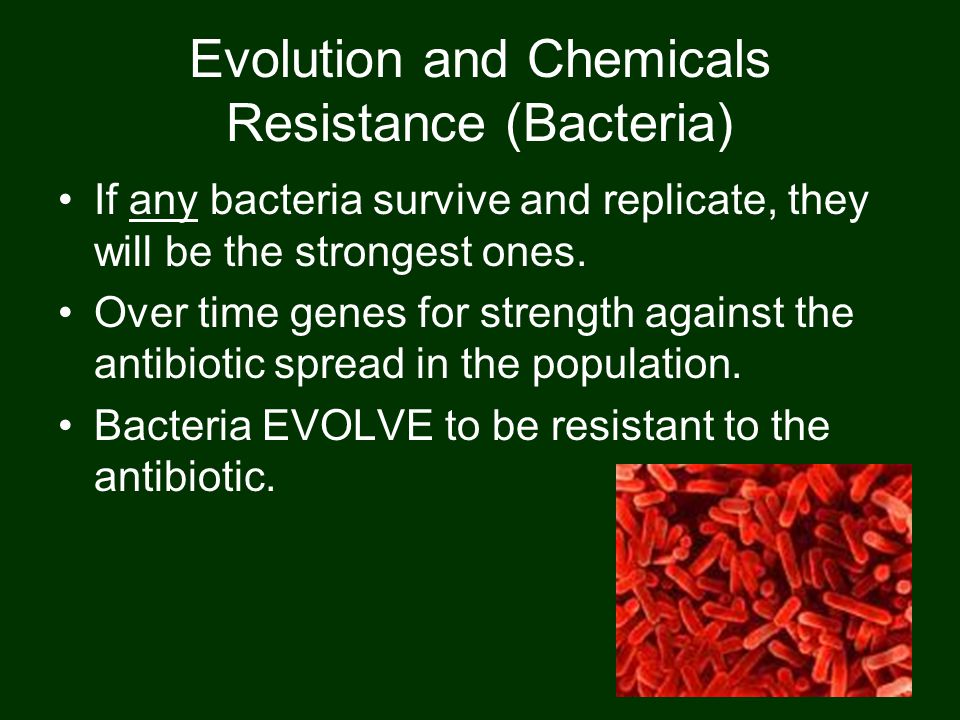 Evolution and Chemicals Resistance (Bacteria) If any bacteria survive and replicate, they will be the strongest ones.