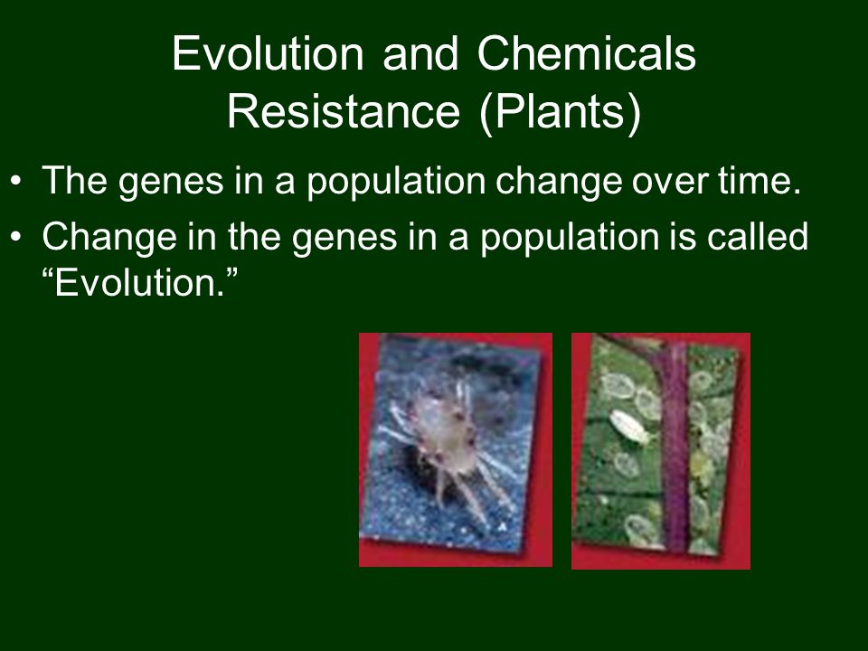 Evolution and Chemicals Resistance (Plants) The genes in a population change over time.