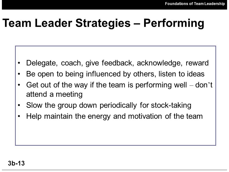 being a team leader